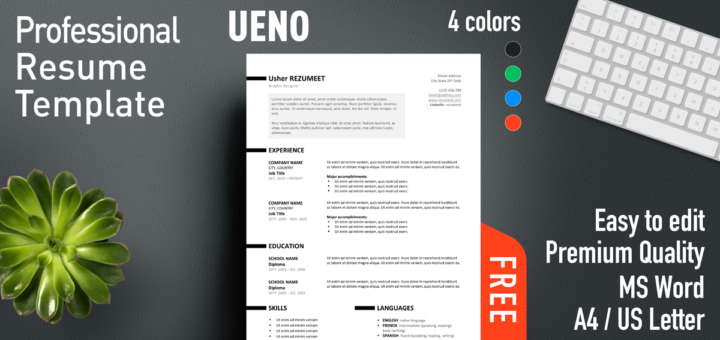 Télécharger CV Moderne 