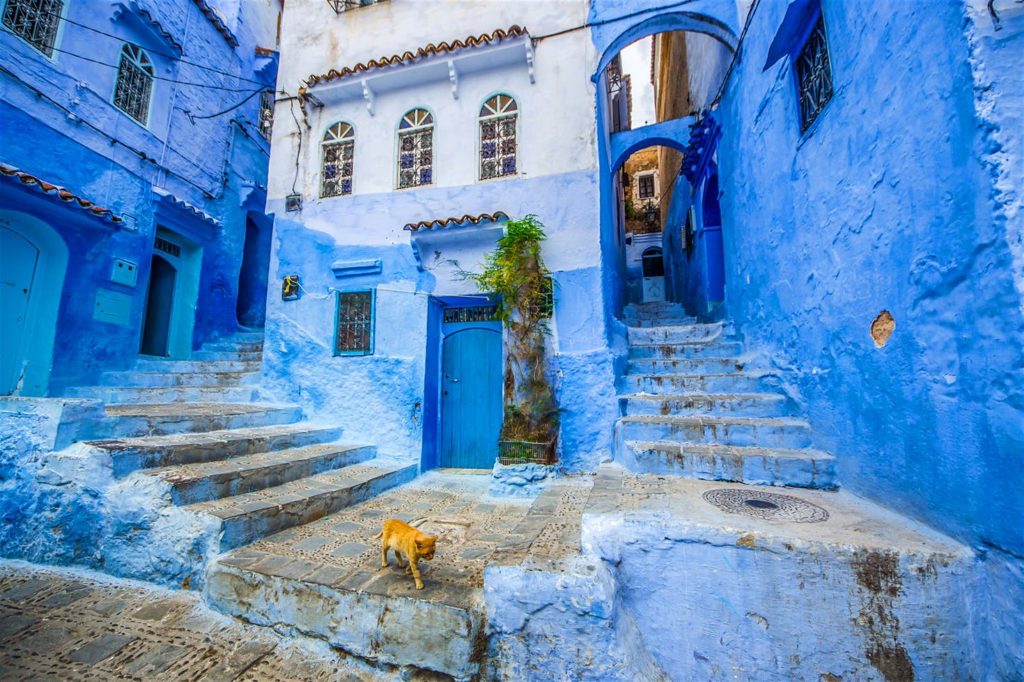 la couleur bleu de la ville de Chefchaouen Pourquoi la ville de Chefchaouen au Maroc est entièrement bleue?