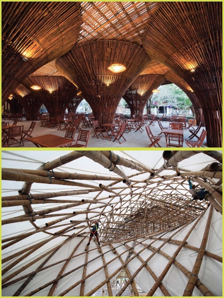 Pourquoi le bambou est-il plus résistant que l'acier? construction en bambou