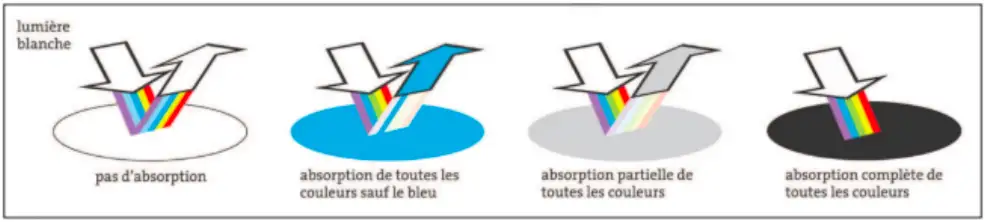 Réflexion et absorption